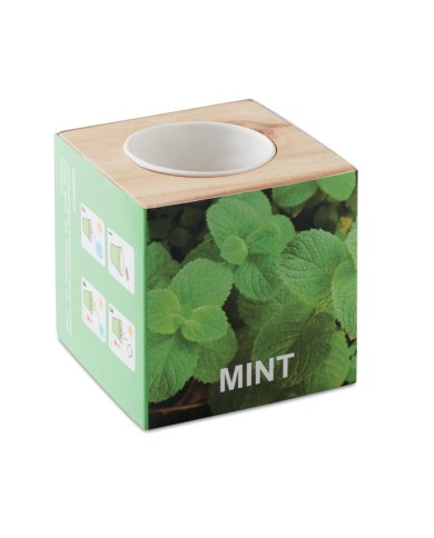 MENTA